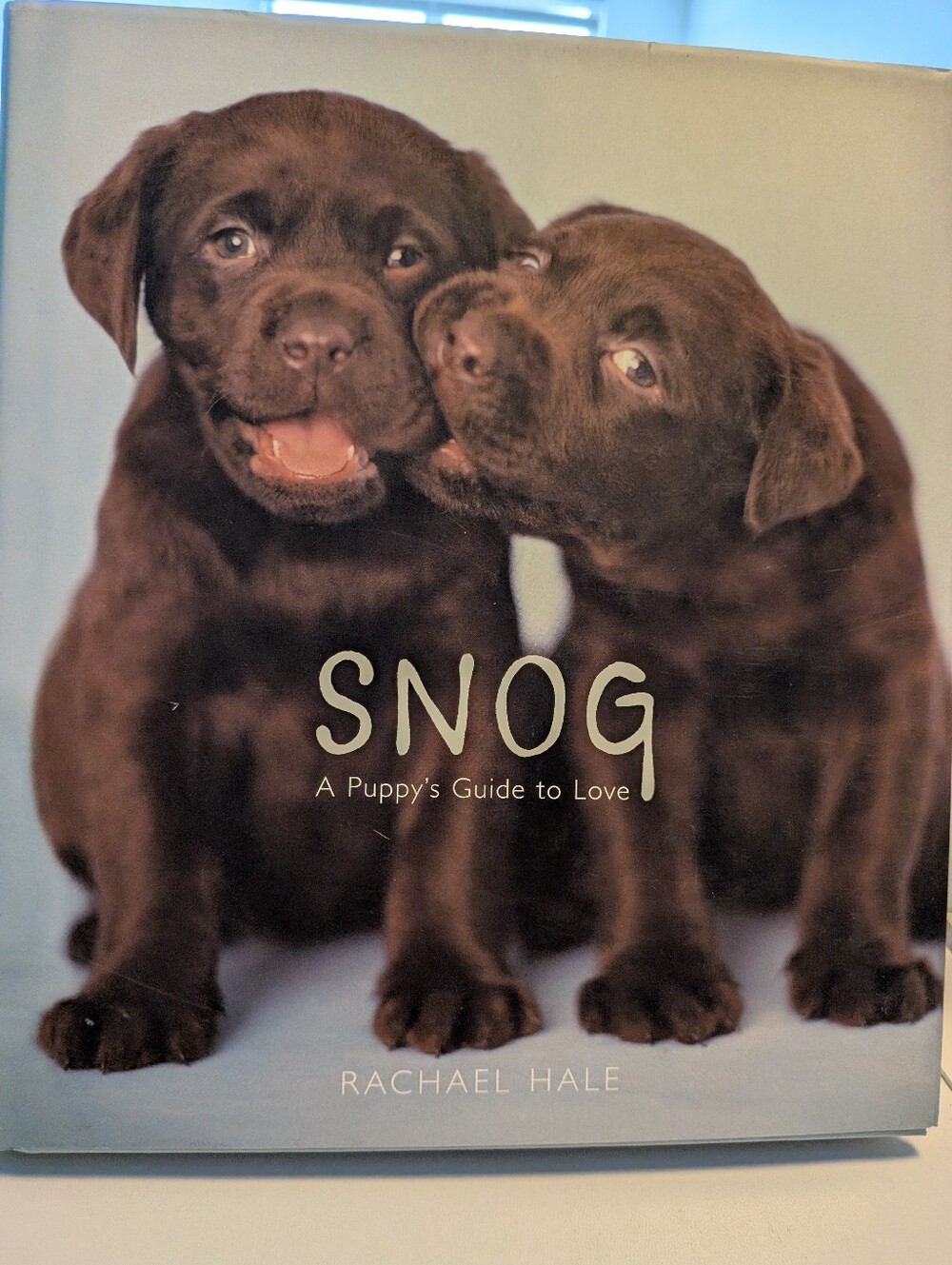Snog A Puppy's Guide to Love Rachael Hale Photography Hardcover Book